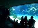 サンシャイン水族館　人気が高く入場するのにも行列ができていたが、12月になって落ち着いてきたようだ。（12月8日）