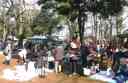unsv̗lqi2008Nj